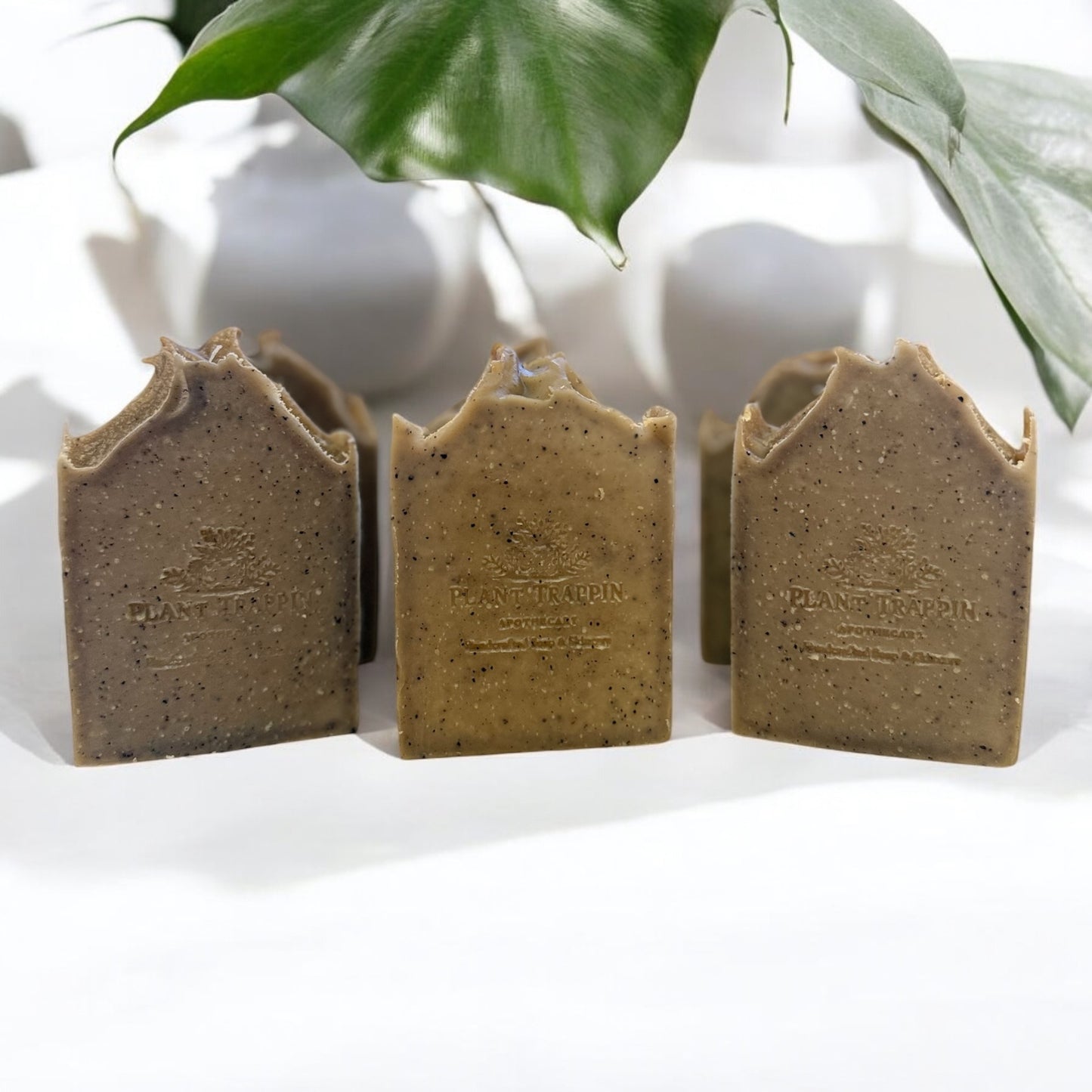 Coffee In The Morning|Exfoliating Coffee + Vanilla