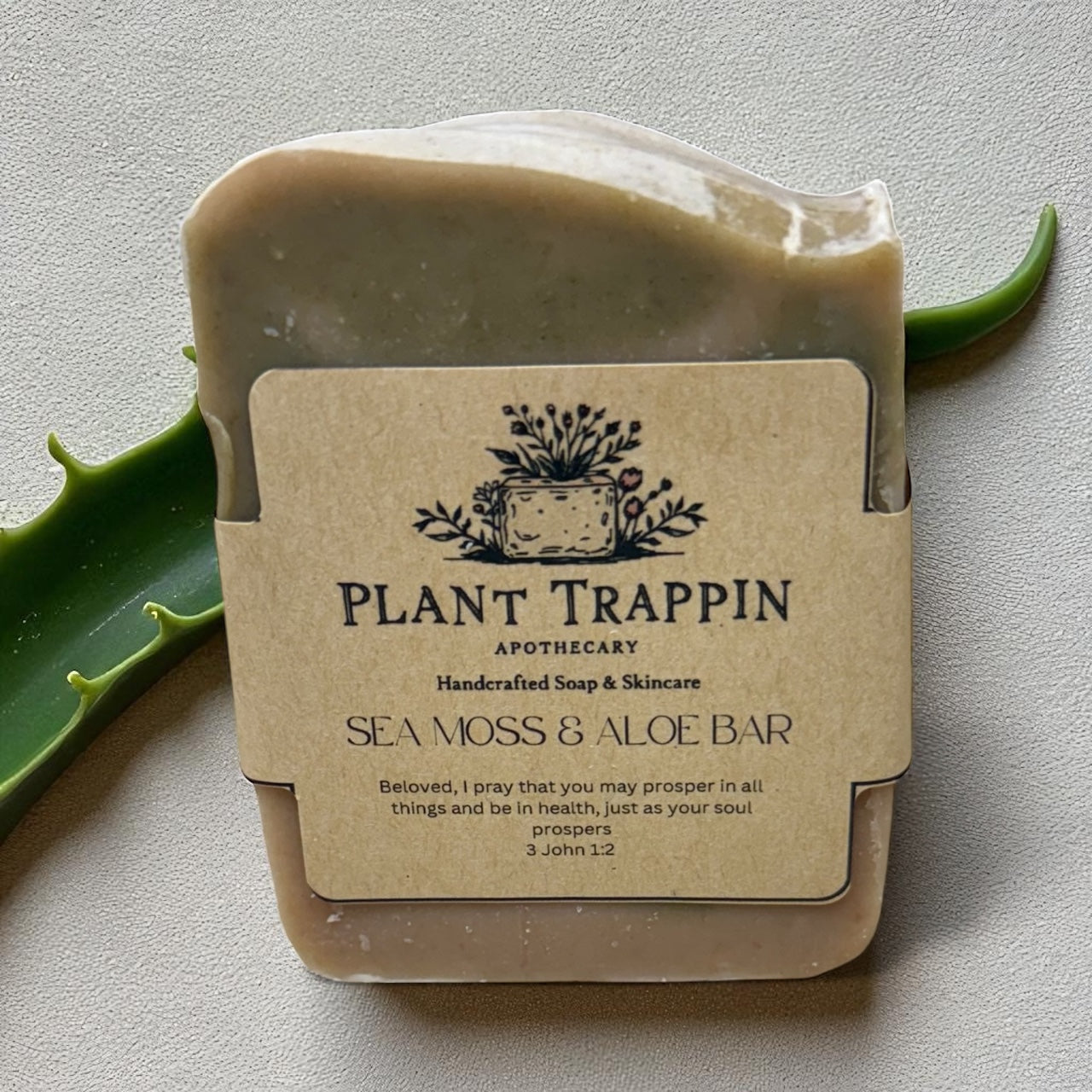 Can’t you Sea Moss & Aloe| Mineral Glow