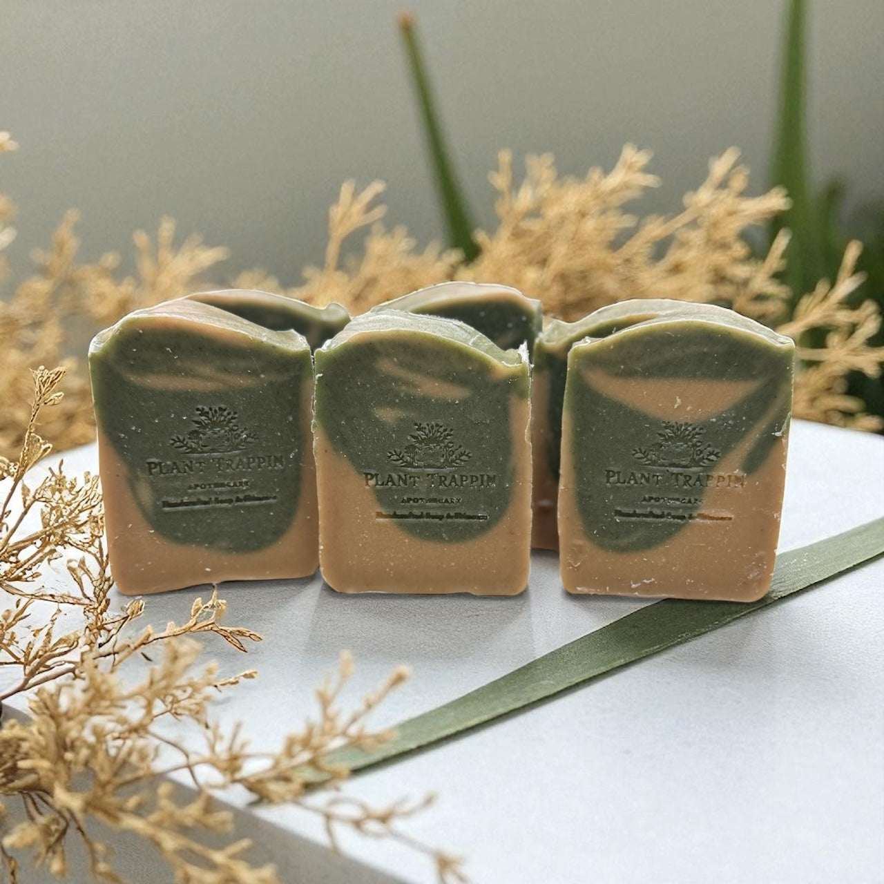 Can’t you Sea Moss & Aloe| Mineral Glow